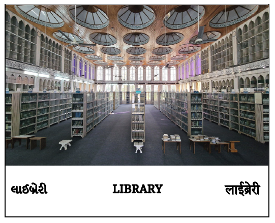 big library