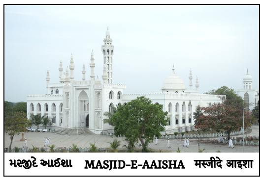 screenshot 2025 10 14 at 14.54.56